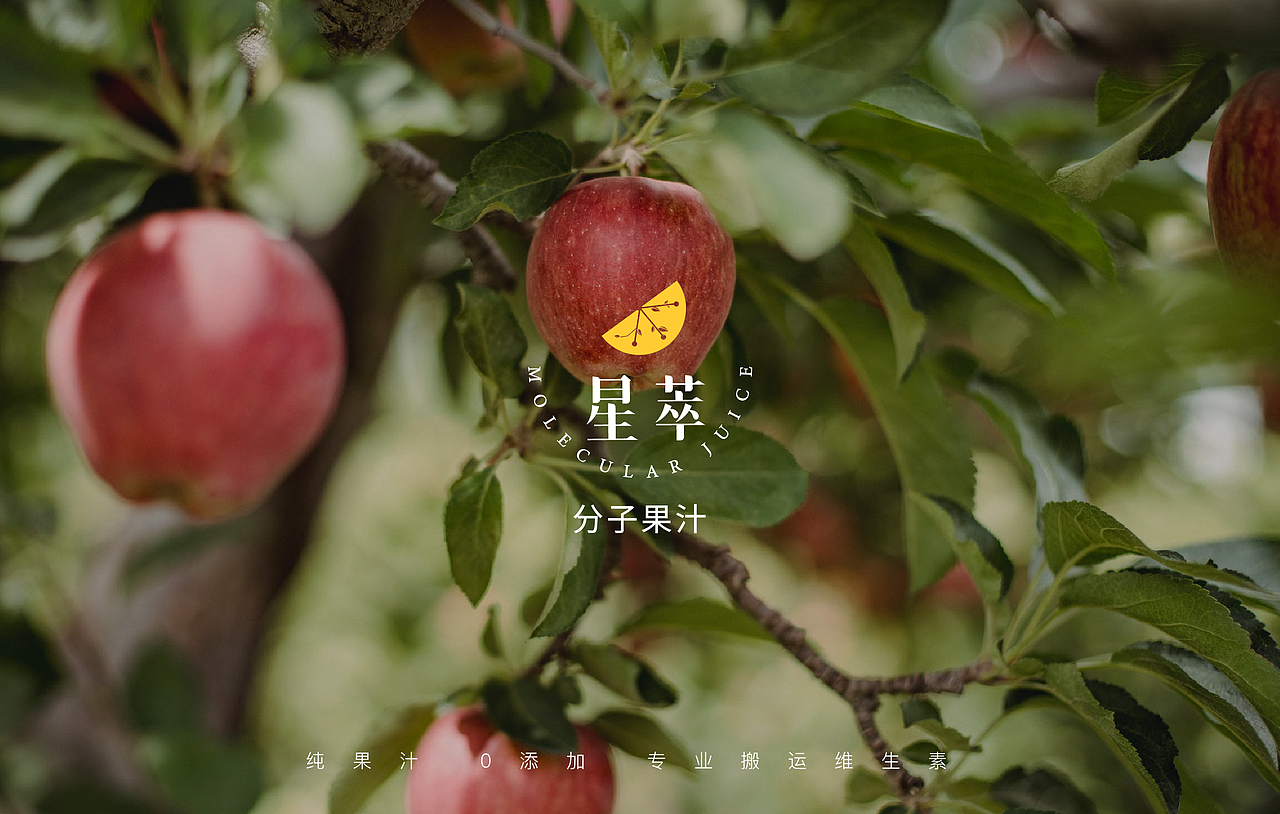 LOGO.01 | XING CUI（图ZMjY0MjM1MDg4） - Logo - 站酷设计师the_sy原创素材 - 站酷ZCOOL