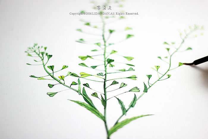 如植物般自由生长（图ZNzk0NTk0MjQ=） - 绘画 - 站酷设计师李淡淡DAN原创素材 - 站酷ZCOOL