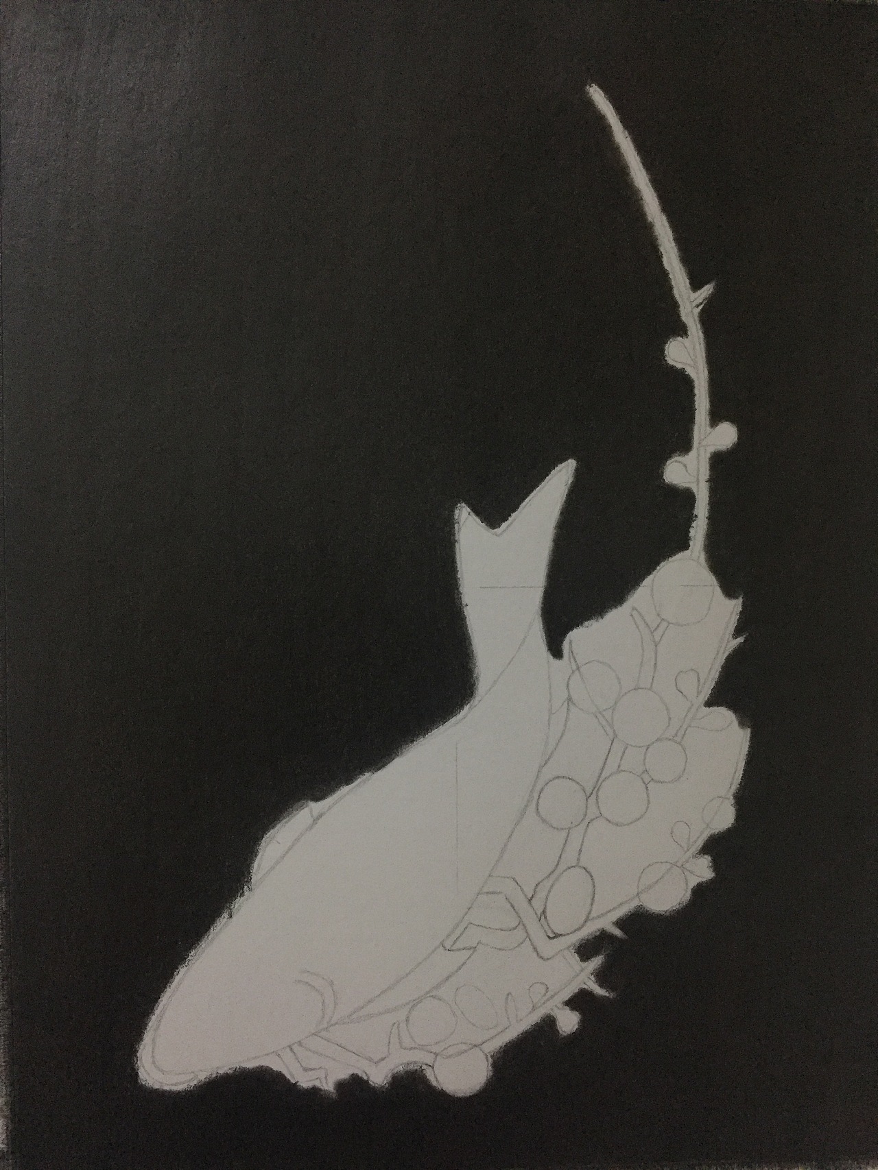 玛丽14B亚光铺背景,然后用纸擦笔抹匀
<br><br><br><br><br>