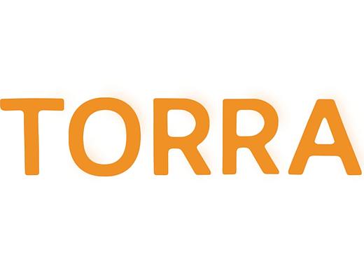 TORROS抽象线条风格MG动画