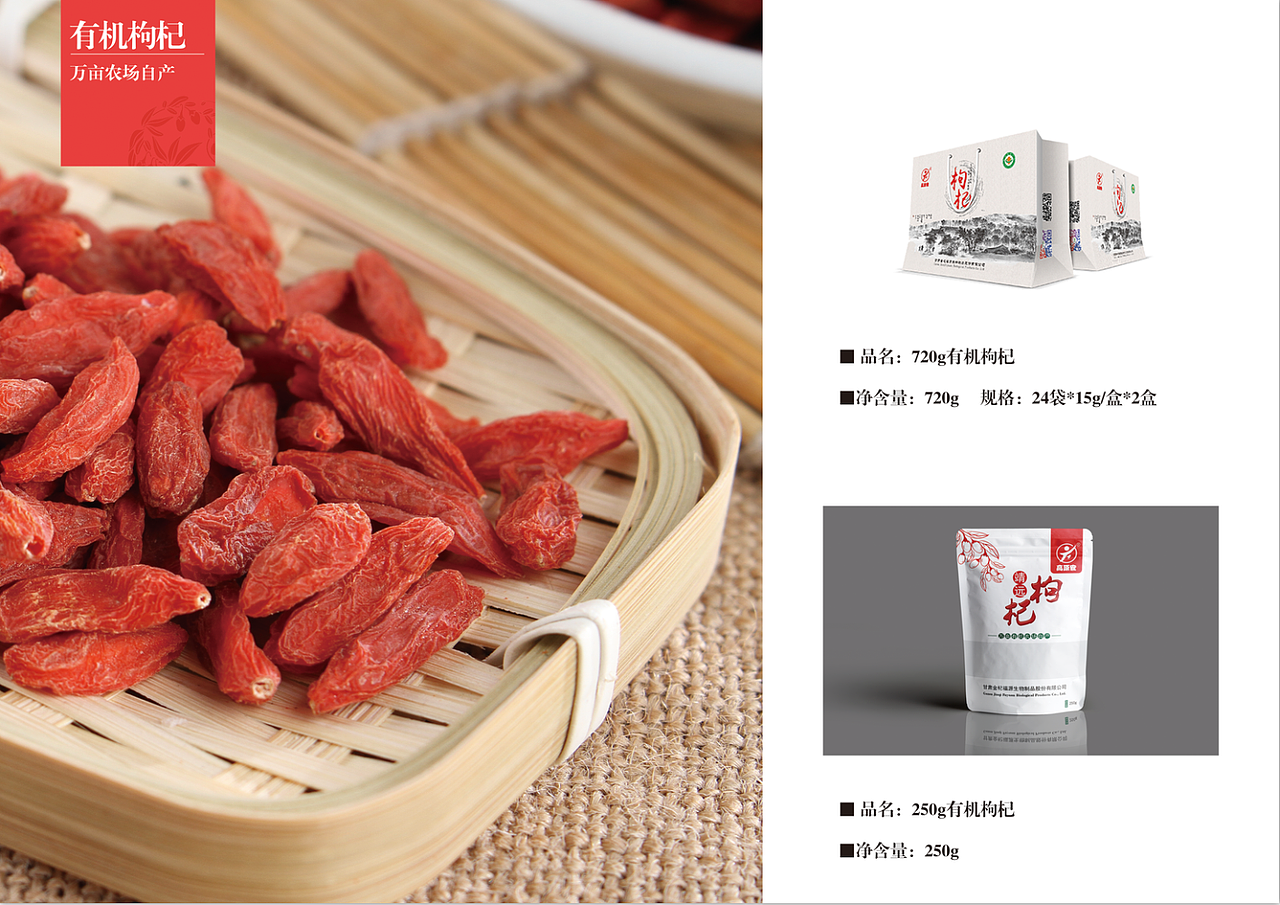 企业画册（图ZMTY3NzY1NjY0） - 书籍/画册 - 站酷设计师张若影丶原创素材 - 站酷ZCOOL