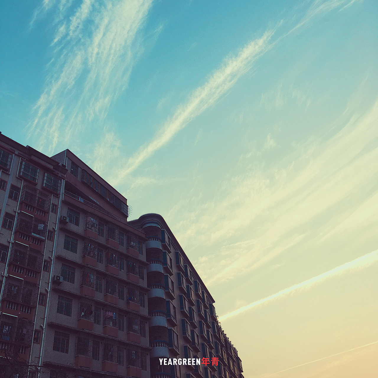 iPhone摄影 · 所见