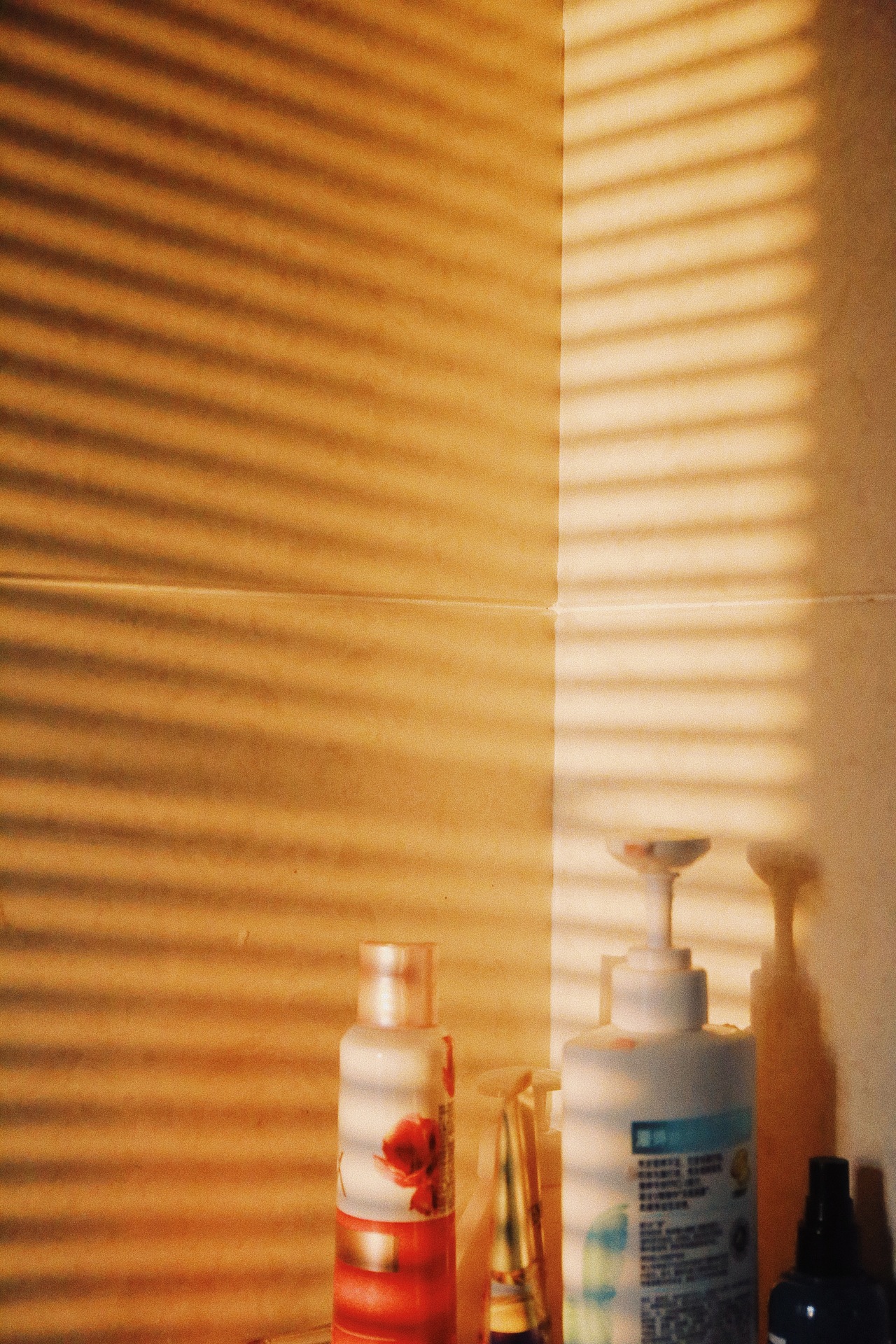 爱总会藏在光里