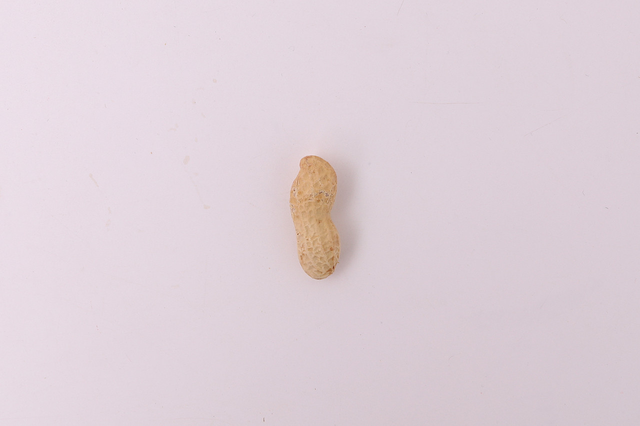 B08零食\C07-坚果炒货\V16带壳花生X1-QM