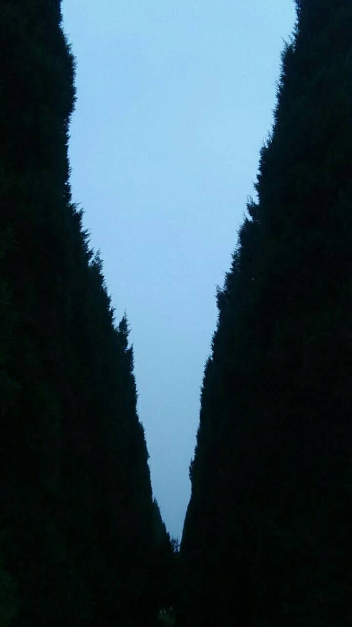 【脑世绘·集(81-90)】