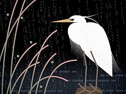 bird