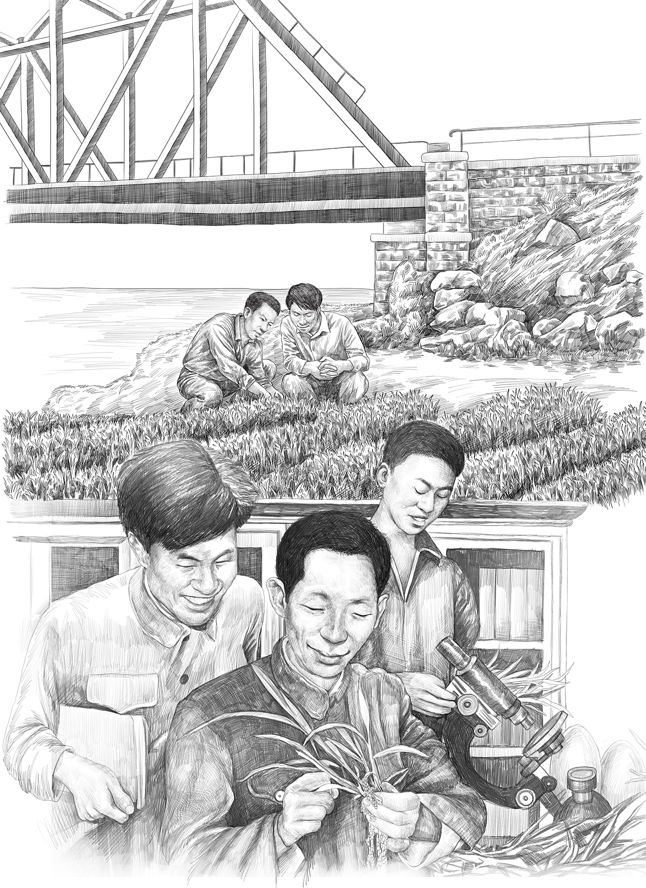 杂交水稻之父袁隆平插画