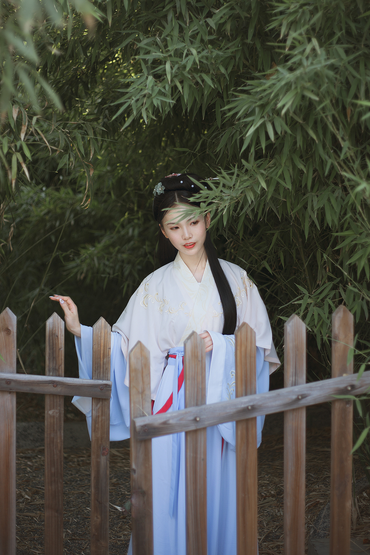 飘飖兮若流风之回雪