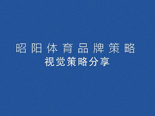 昭阳体育LOGO品牌策划