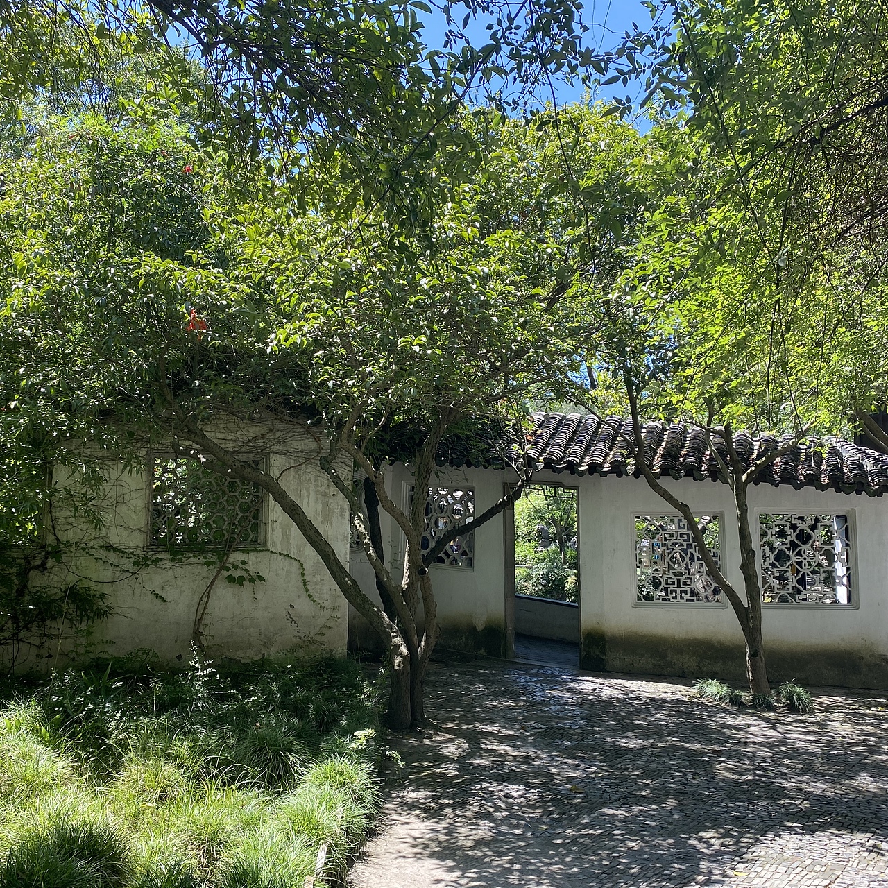 苏州拙政园的晴天