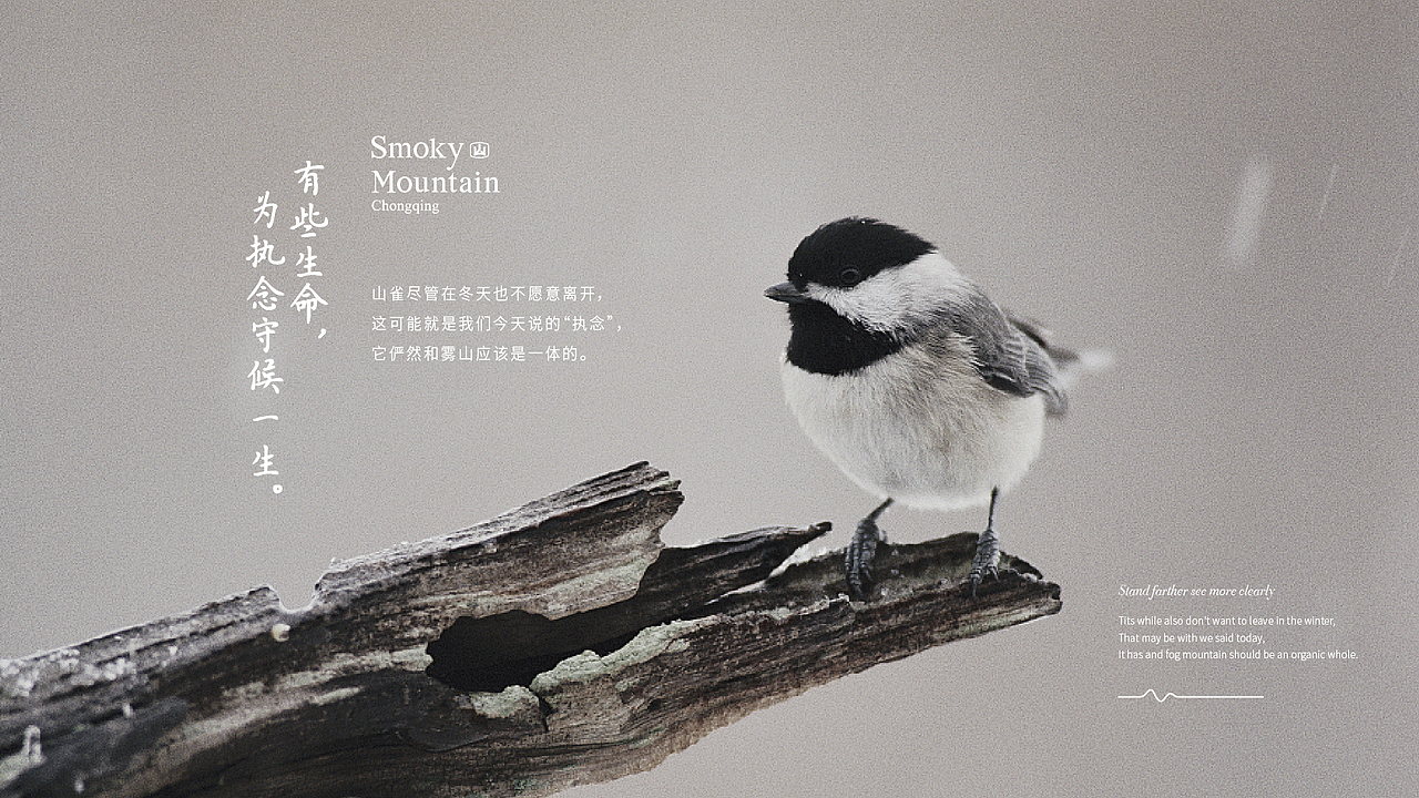 餐饮品牌 餐饮VI  餐饮vi VI设计 烤肉店VI设计 烤肉VI