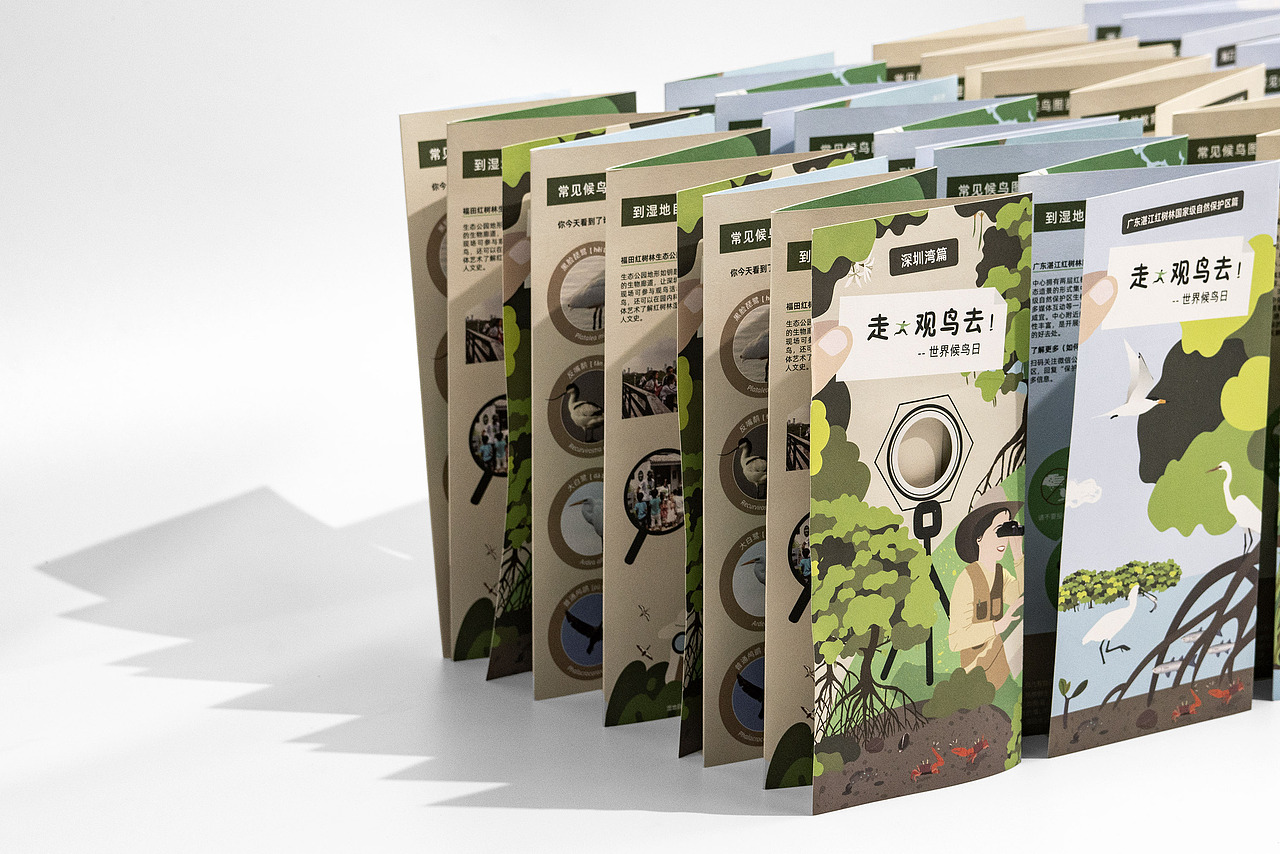 世界候鸟日-观候鸟折页及海报