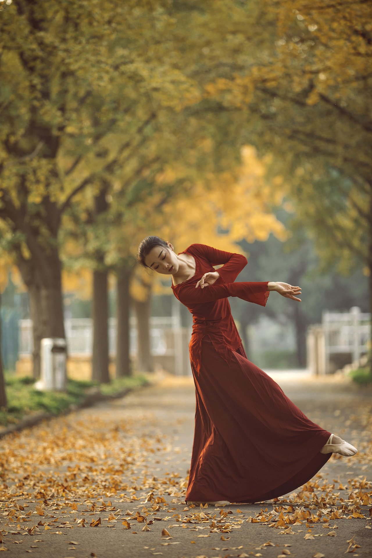 银杏下的芭蕾舞者