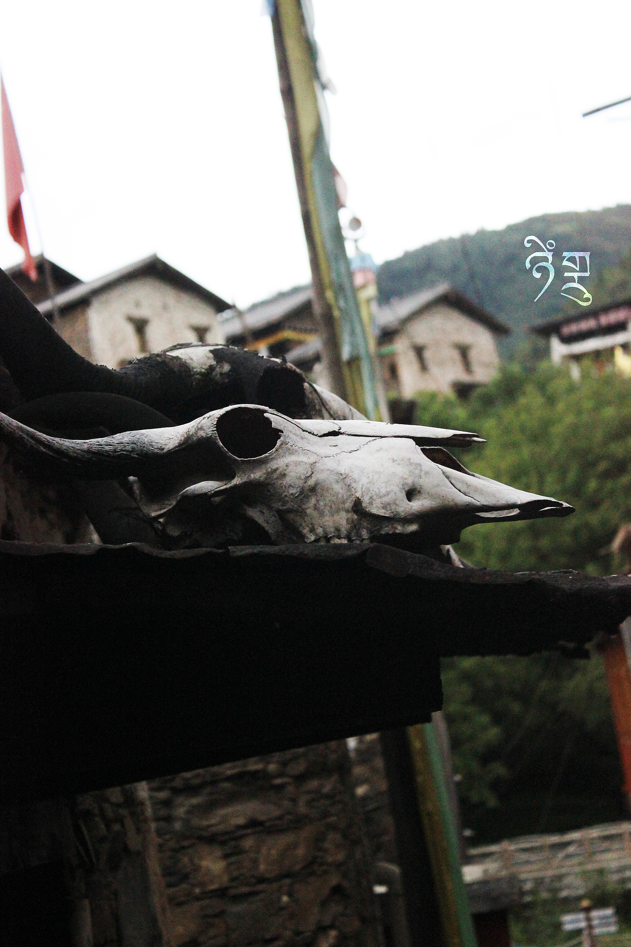 藏区摄影——寺与天国（图ZODA3MzY2MjA=） - 人文/纪实摄影 - 站酷设计师MOMO桃子酱原创素材 - 站酷ZCOOL