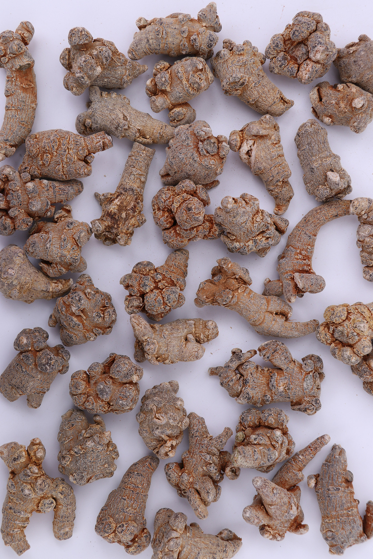 B02药材药品\C01-农产药材\V13三七头X1-QM