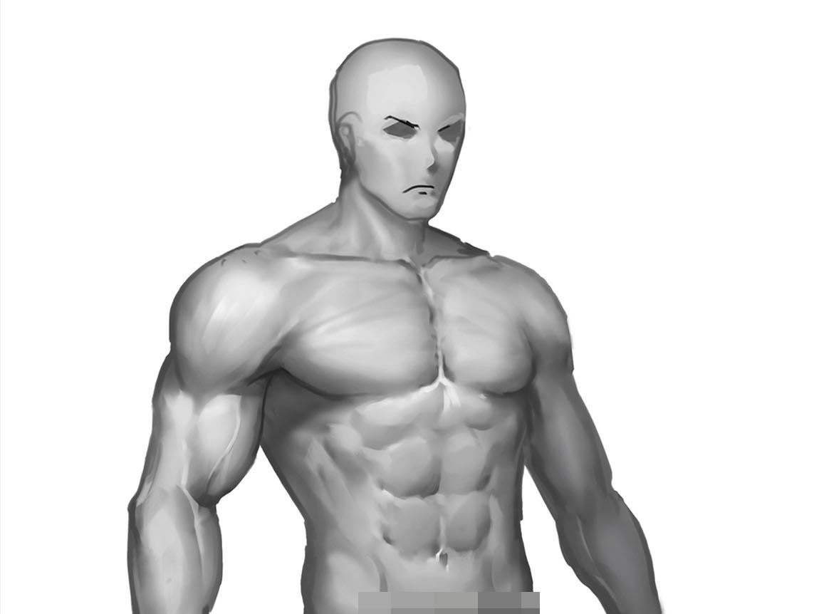 男人人体解剖图_人体解剖图_人体解剖图女-免费论文网