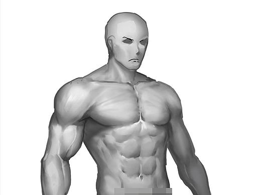 男人体系列丨肌肉吴克丨人体丨肌肉怎么画丨PS板绘