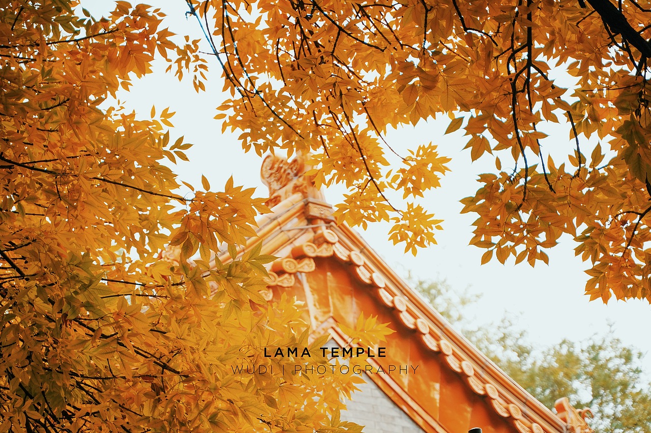 摄影作品/雍和宫