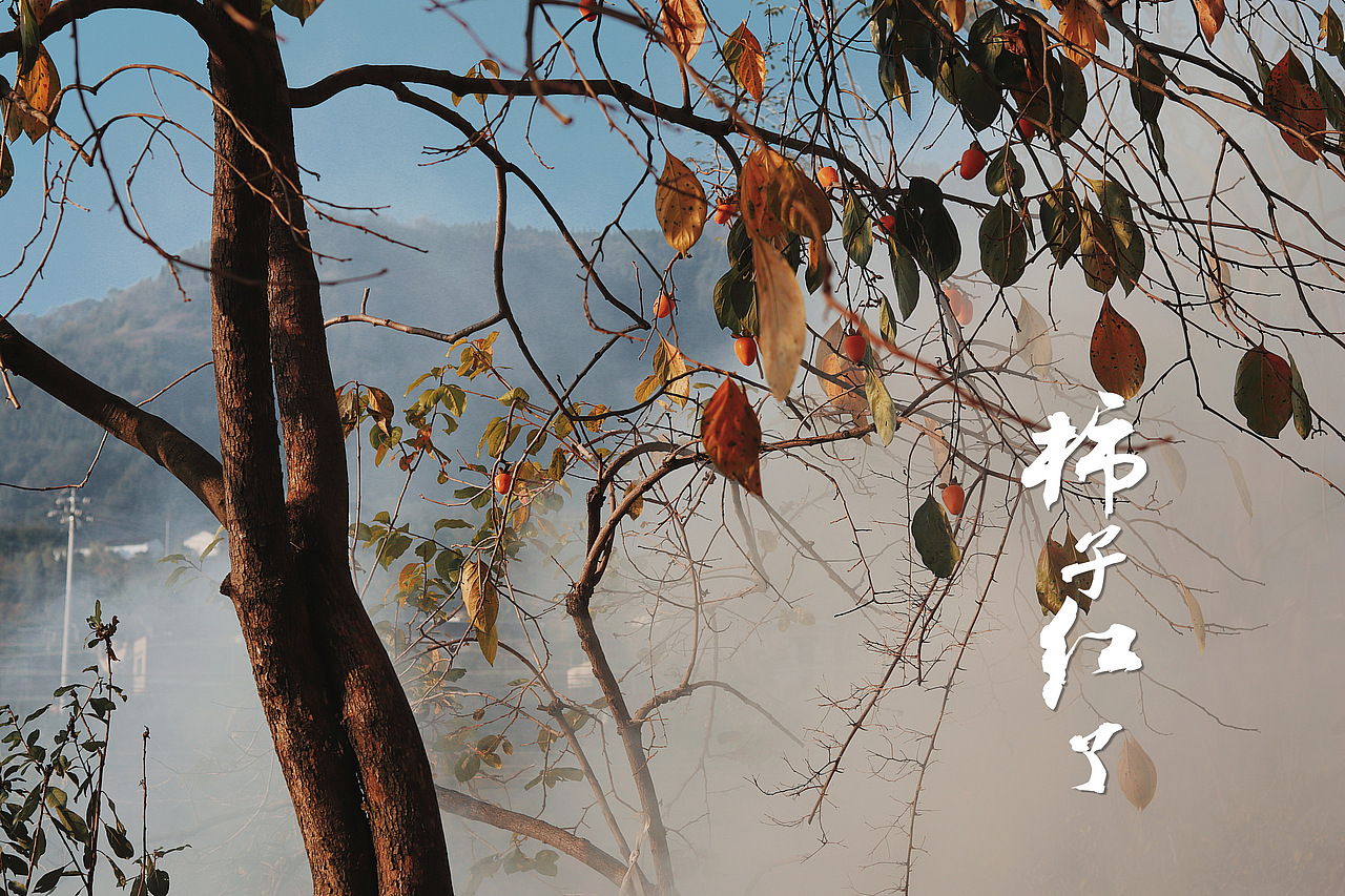 我所有摄影图片