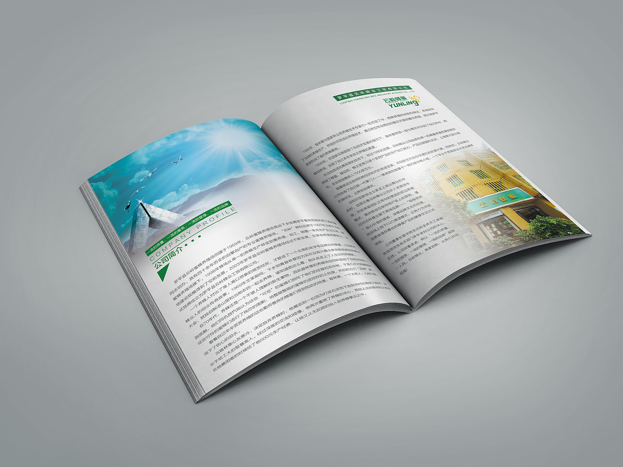 云岭蜂蜜画册设计（图ZNTQ0NjM1ODQ=） - 书籍/画册 - 站酷设计师blake灬原创素材 - 站酷ZCOOL