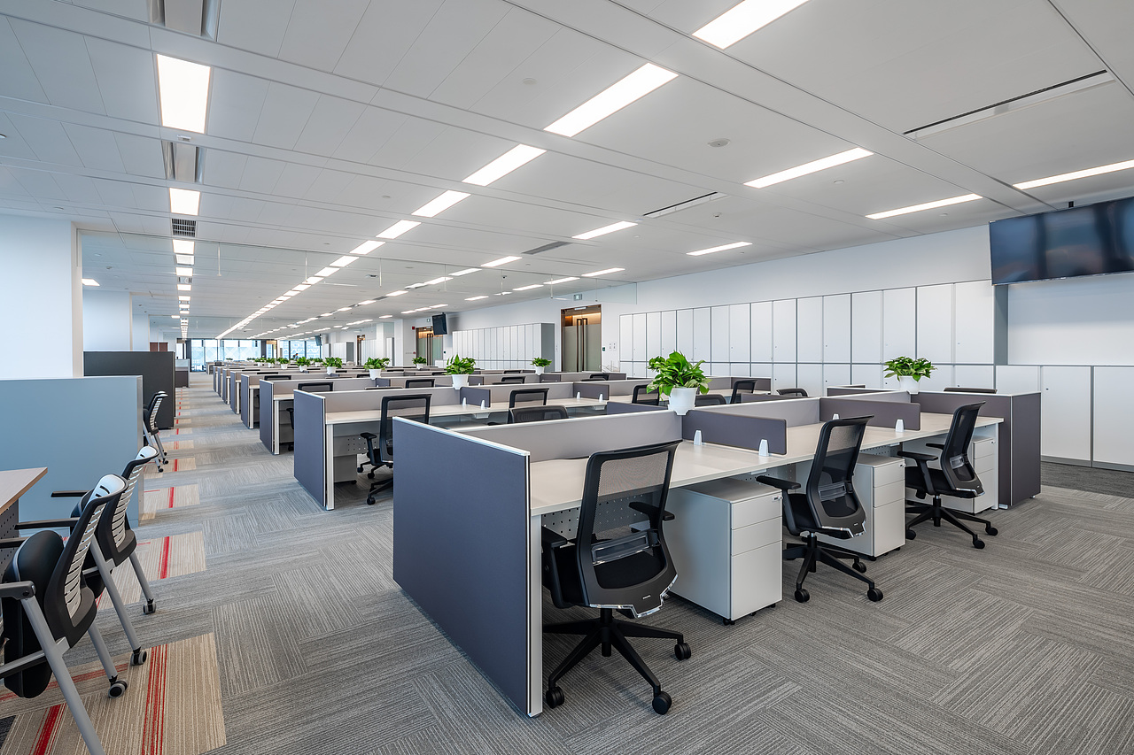 佳能（中国）完工照片