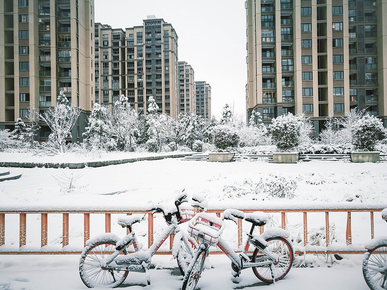 初雪·杭州（图ZMTAzNzkyNDM2） - 风光摄影 - 站酷设计师dreanfiy原创素材 - 站酷ZCOOL