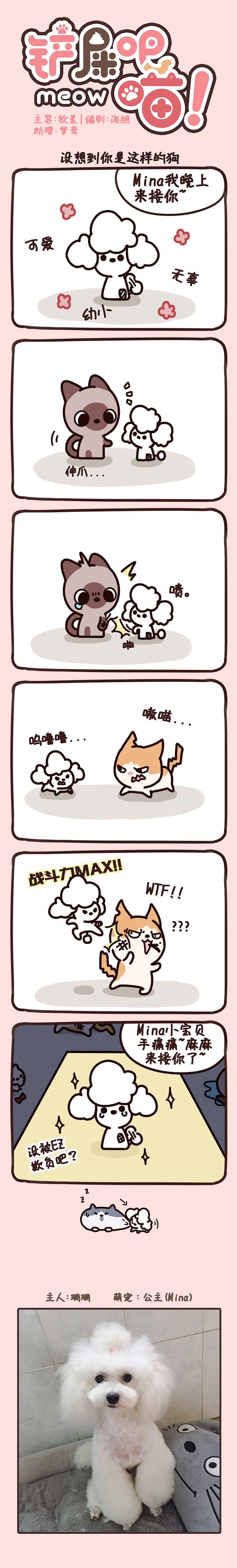 《铲屎吧!喵!》21-28话——原创Q萌四格漫画