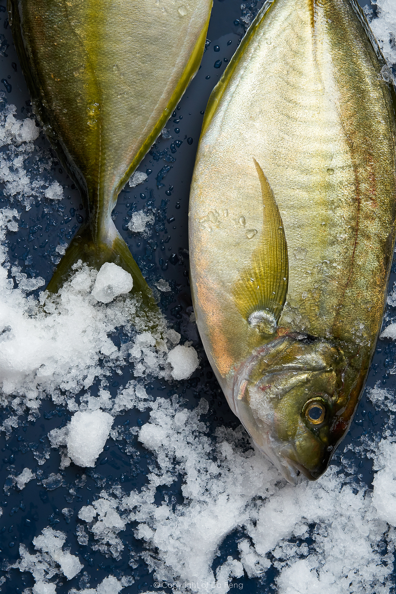 「 悦胜 」京东、淘宝线上生鲜拍摄