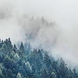 用戶頭像