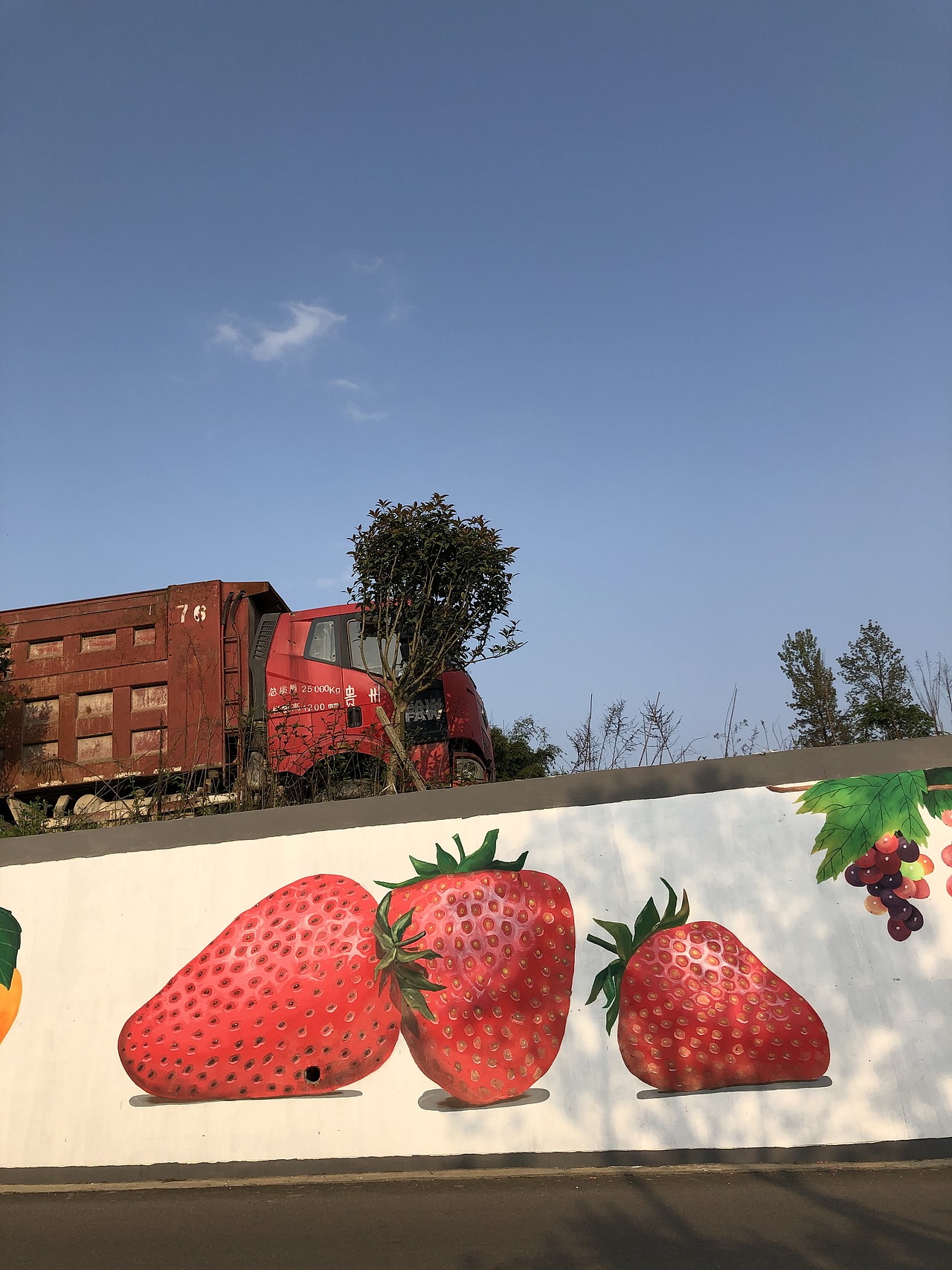 贵阳息烽温泉网红打卡点草莓果园文化手绘墙_壁尚手绘贵州墙绘-站酷
