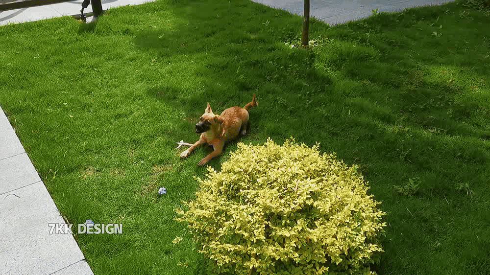 奉贤自建房前庭后院一步一景，温馨室内，别有一番韵味