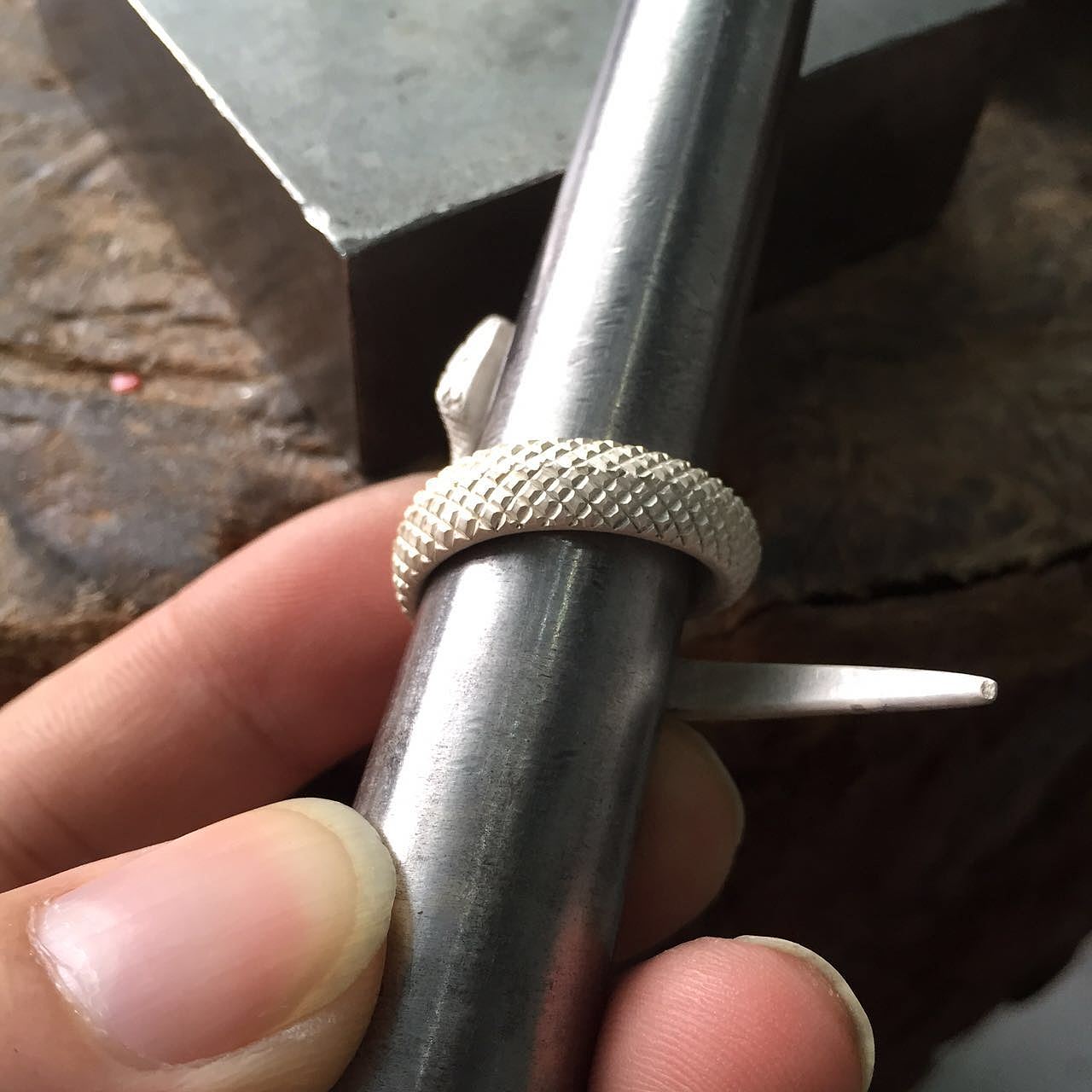 祝福系列之——印度“生命之力”蛇