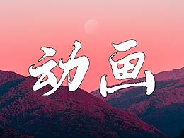 理论文章