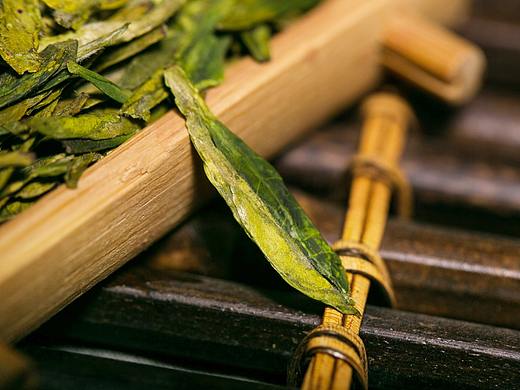绿茶香拍摄