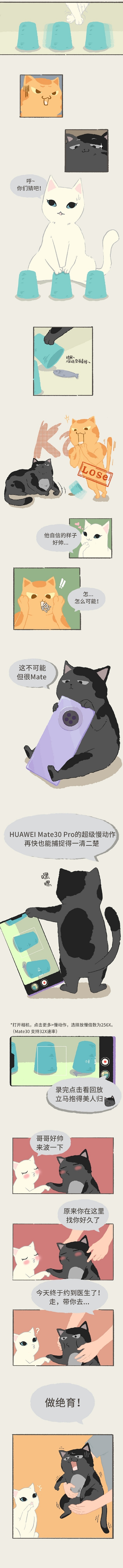 猫系列故事插画（图ZMTg1NzE5NDEy） - 艺术插画 - 站酷设计师MagicOS原创素材 - 站酷ZCOOL