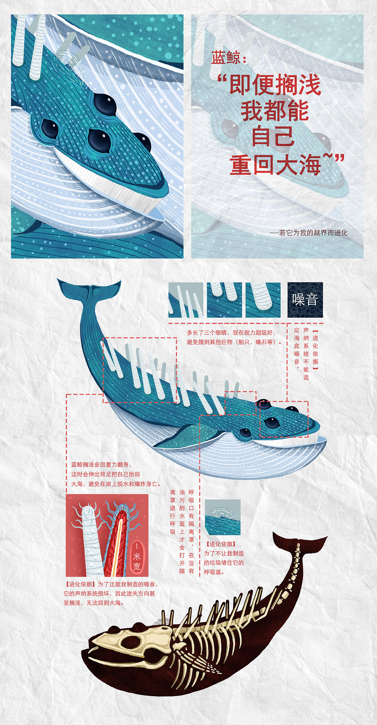 《与我共存的进化》| 濒危物种主题公益插画毕业设计