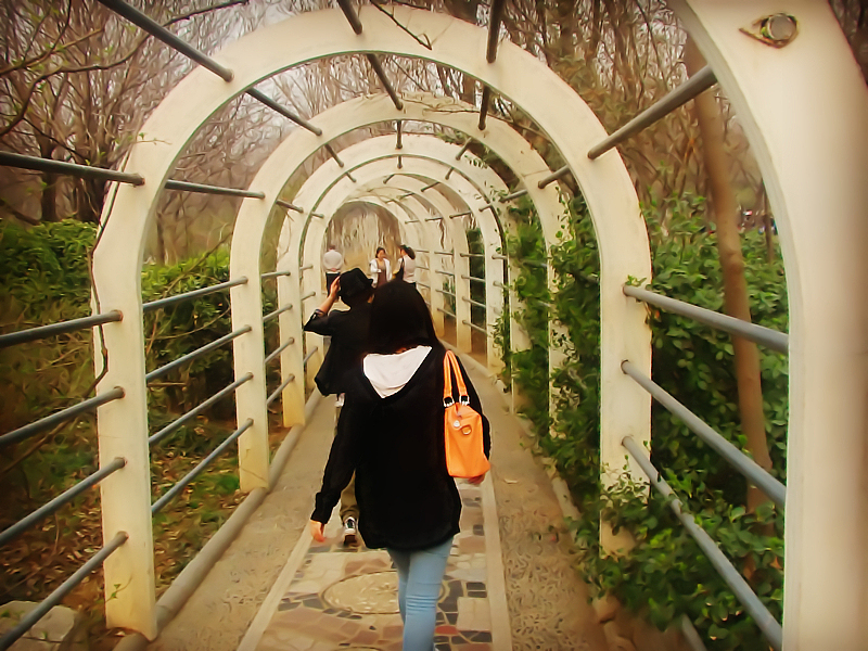 2013年3月16号植物园游记