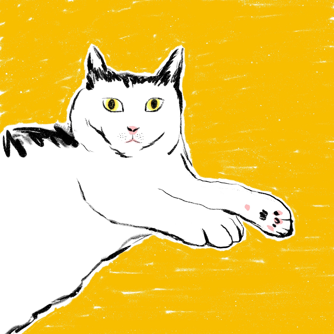 猫咪速涂插画20P