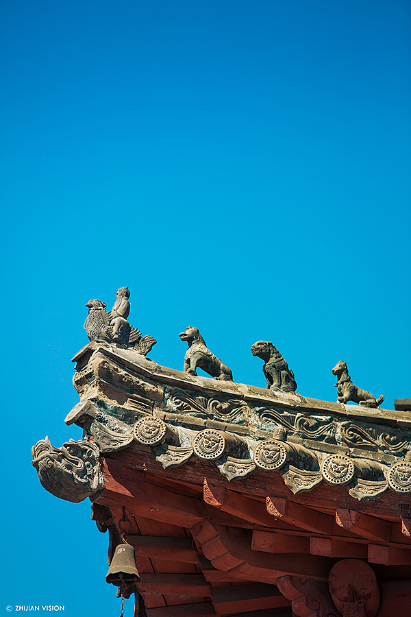 之间摄影脊兽角兽