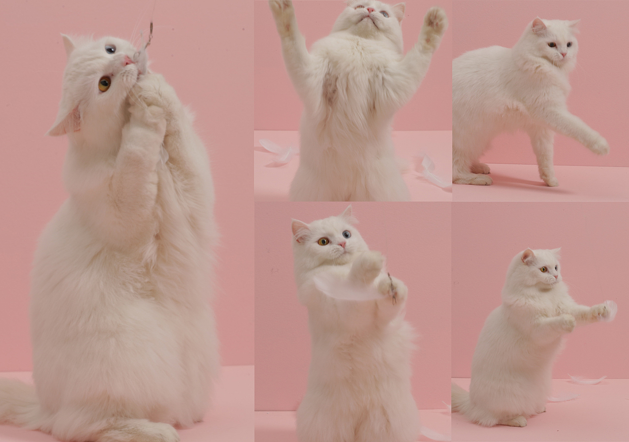 我可能要失去我的女神了…