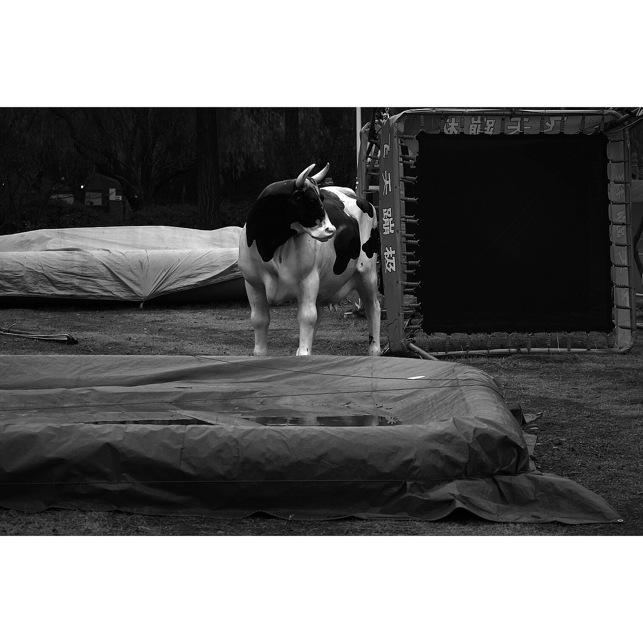 萬物屬靈 蠢蠢欲動（圖ZMjIzMDY2NTI4） - 人文/紀(jì)實攝影 - 站酷設(shè)計師溜直的一個彎原創(chuàng)素材 - 站酷ZCOOL