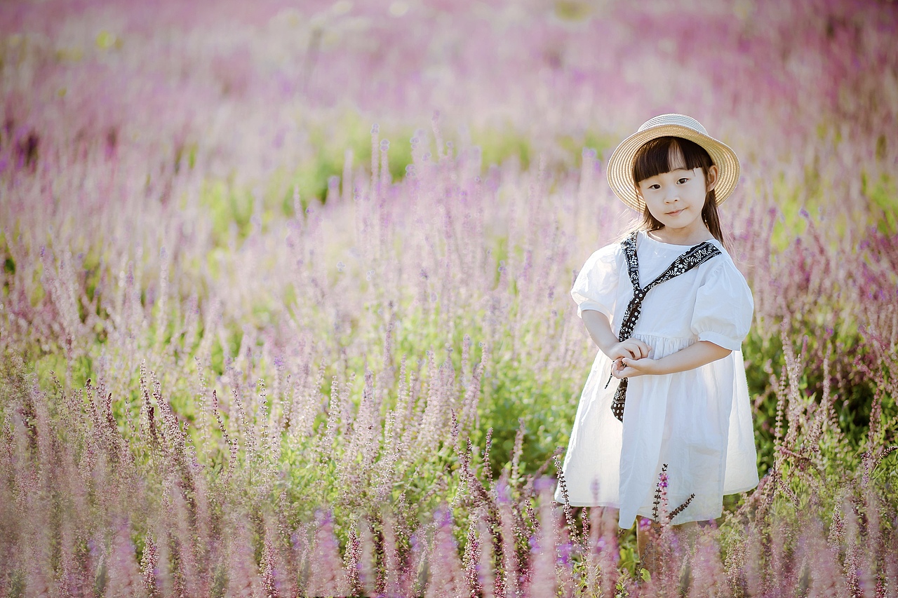 薰衣草花海（图ZMjYwNTcyNDU2） - 人像摄影 - 站酷设计师嘉和摄影原创素材 - 站酷ZCOOL