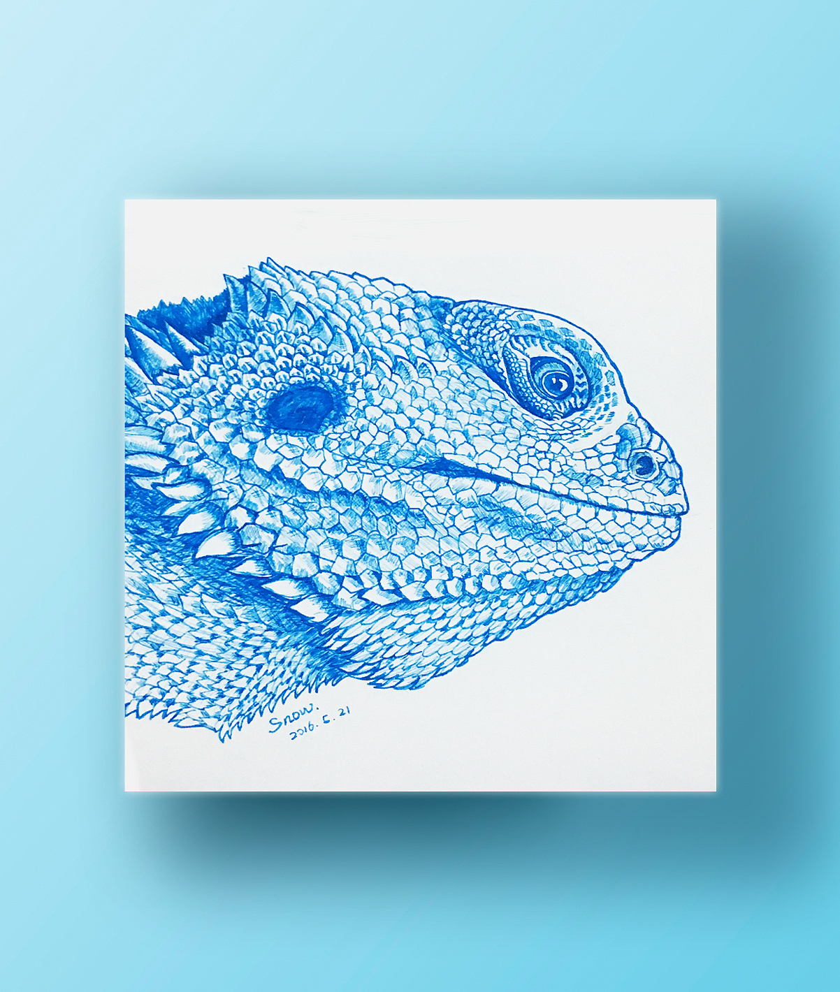 钢笔手绘鬃狮蜥