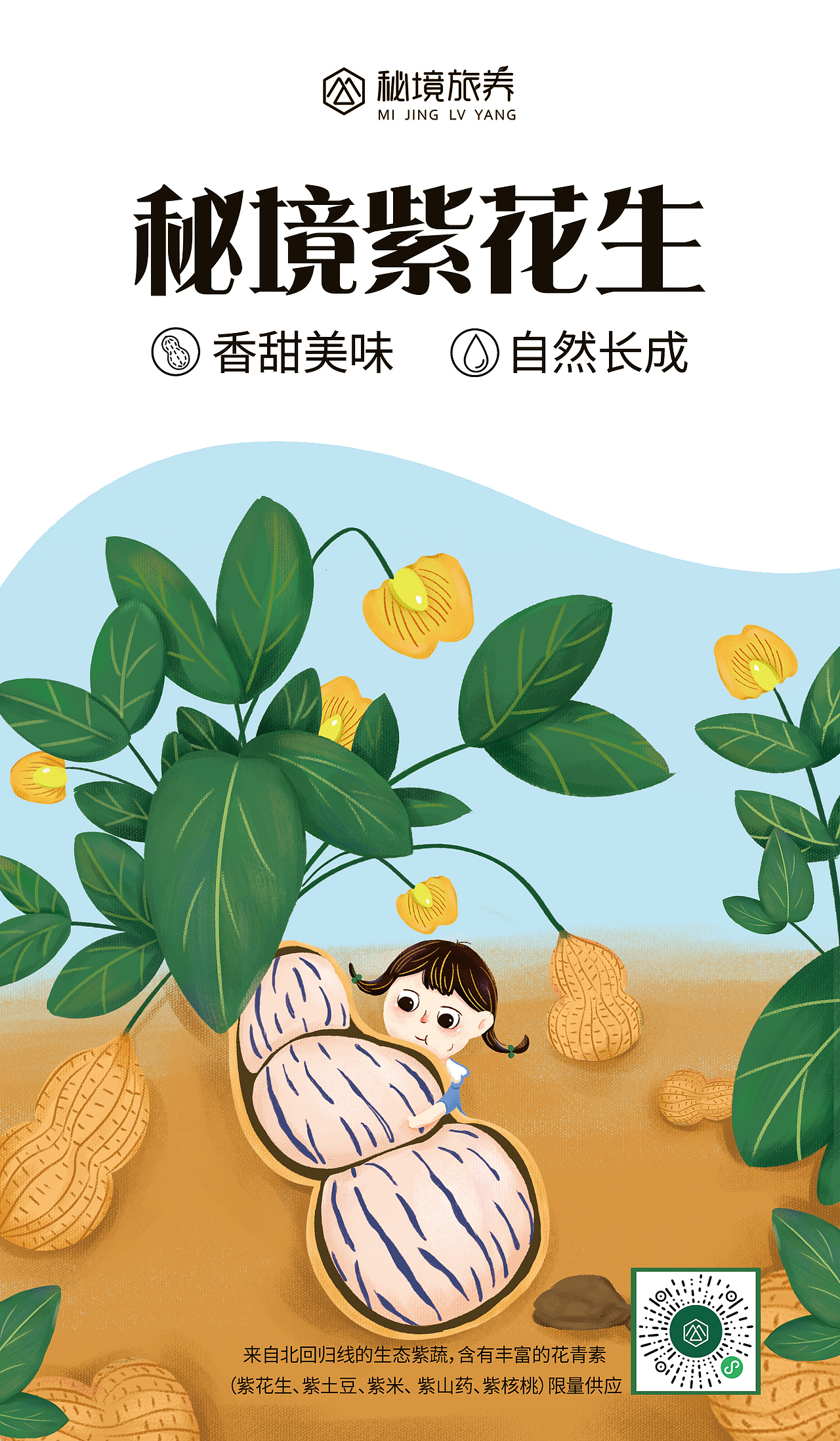 云南紫花生伴手礼（图ZMjM0NTQzMjc2） - 包装 - 站酷设计师妍色设计原创素材 - 站酷ZCOOL