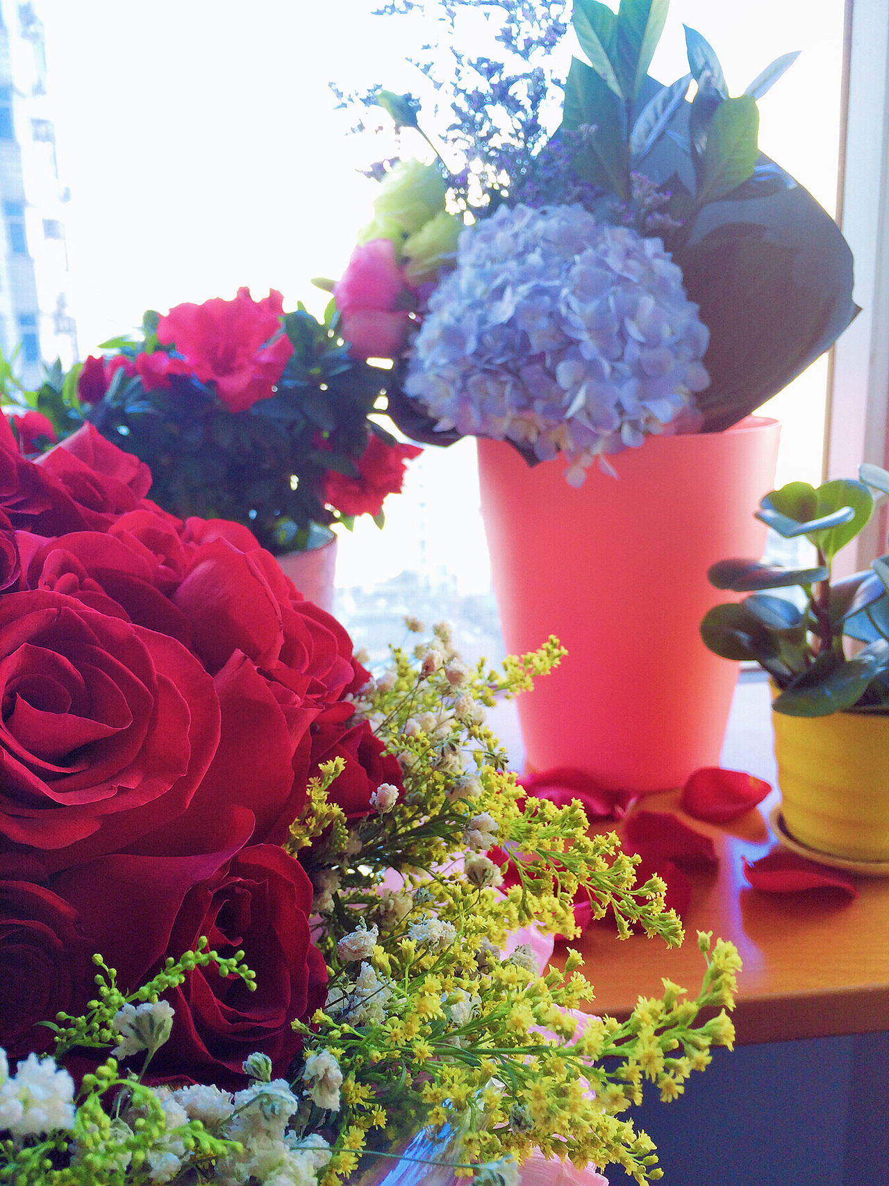 愿一辈子可以被花温暖