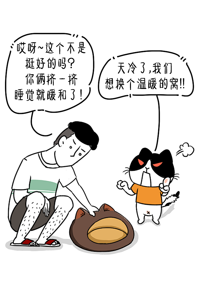 穷?就别养猫了!