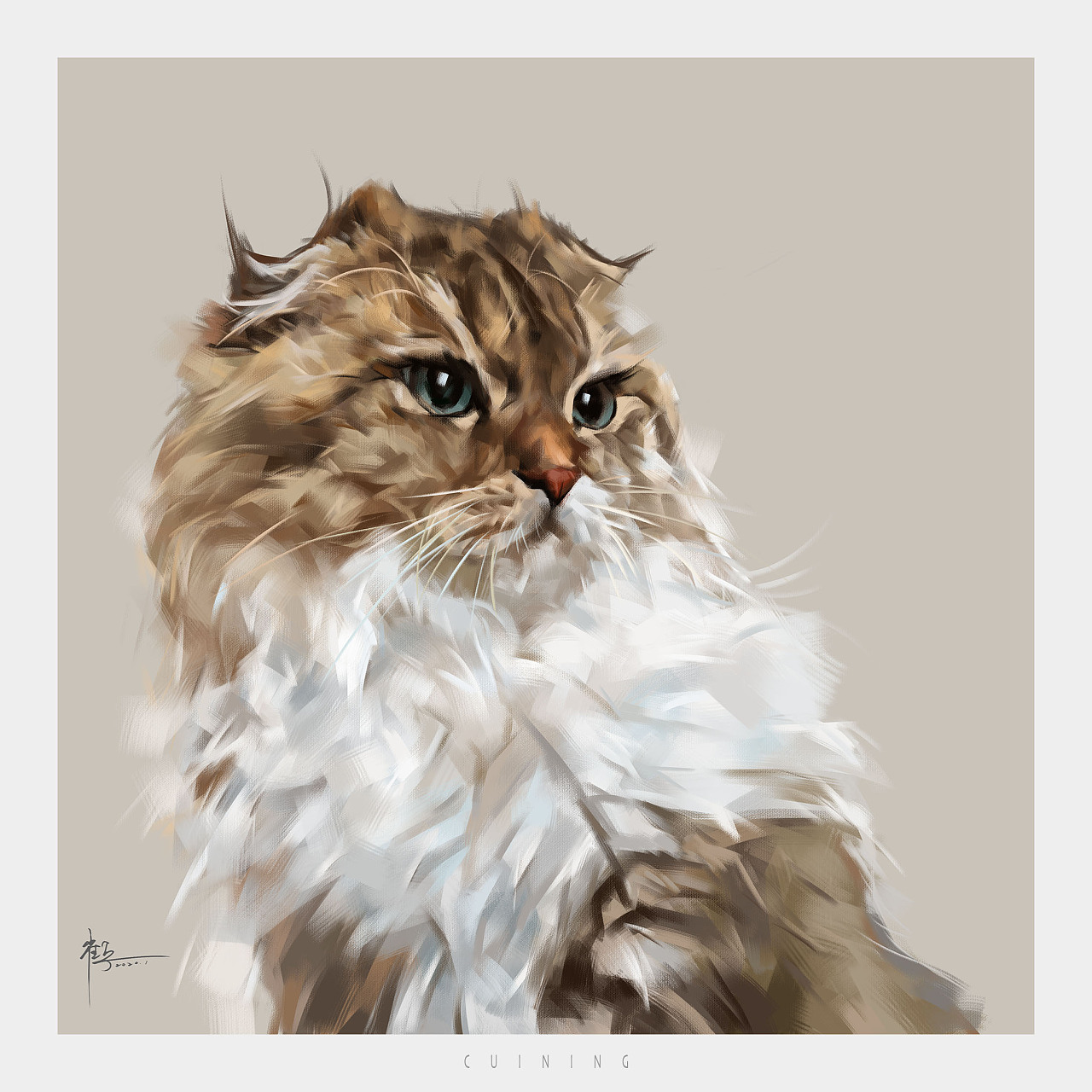 折耳猫|插画|创作习作|cuin62 - 原创作品 - 站酷 (zcool)