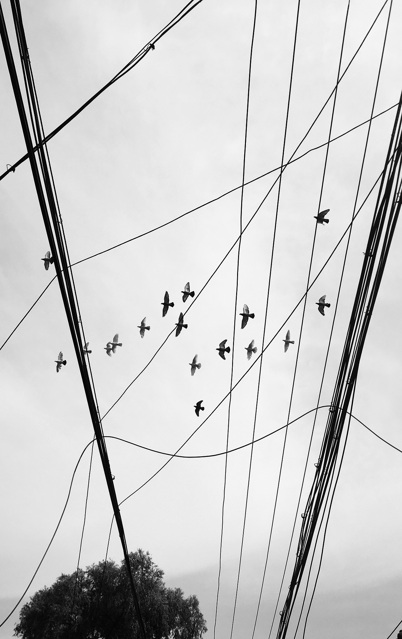 景观篇-手机摄影