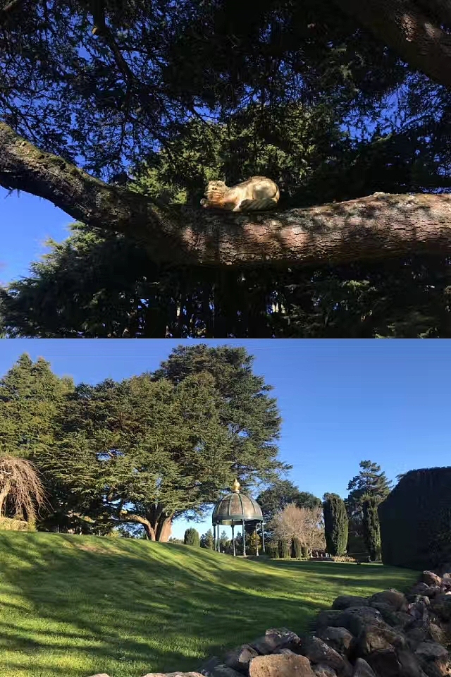 帮帮快修的威廉古堡之旅