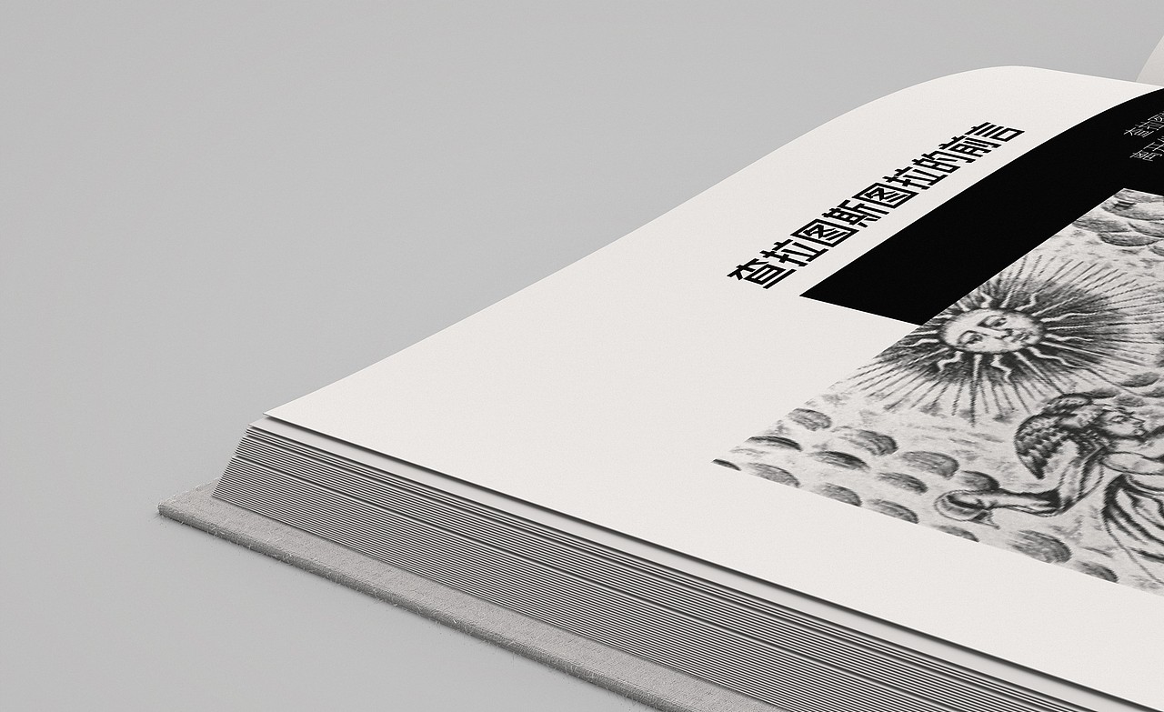 《查拉图斯特拉如是说》书籍装帧设计（图ZMjg3MjU4MDM2） - 书籍/画册 - 站酷设计师KLEINB原创素材 - 站酷ZCOOL